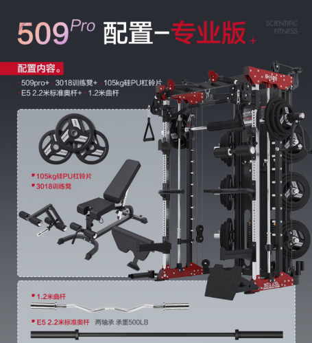 康强史密斯机移动飞鸟综合训练器