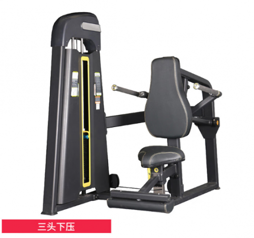 X-RIVALFITNESS 健身房商用力量器械 三头下压训练器