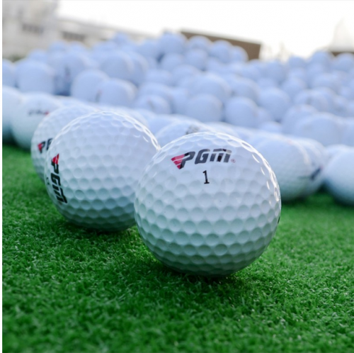 PGM 高尔夫球 20个