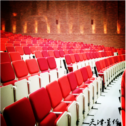 纳米礼堂椅排椅带写字板报告厅座椅大型剧场椅工程会议室剧院椅 带写字板（每位）