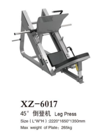 倒登机