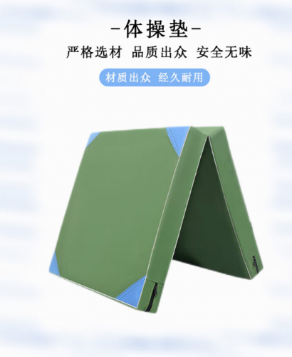 健身体操垫瑜伽舞蹈练功空翻垫 仰卧起坐垫 牛津布60*120*5cm