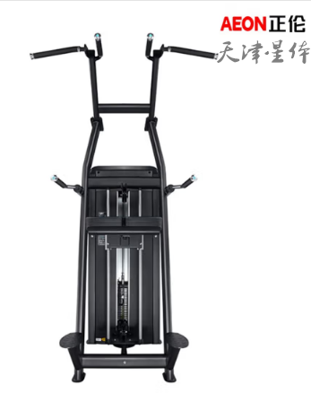 AEON CS-813 辅助式引体向上训练器胸部肌肉肱二肌斜方肌