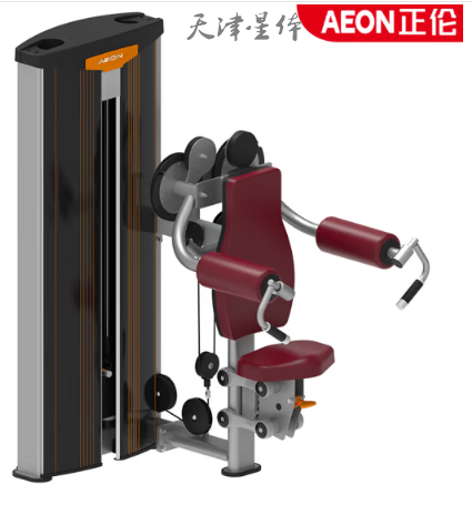 正伦坐式肩侧上举训练器LCS-S602 商用健身房锻炼器械