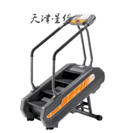 正伦 2008H 楼梯机