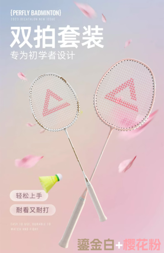 匹克羽毛球拍 双拍（入门级）